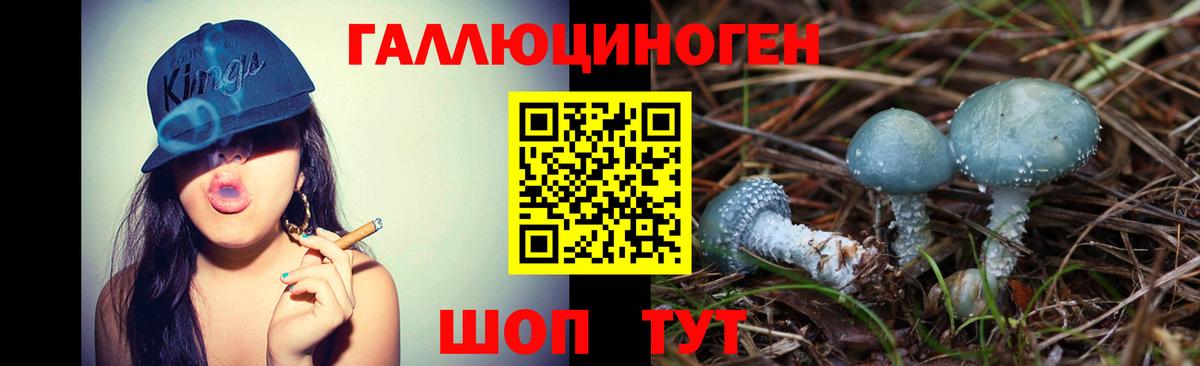 Галлюциногенные грибы мицелий Усть-Джегута