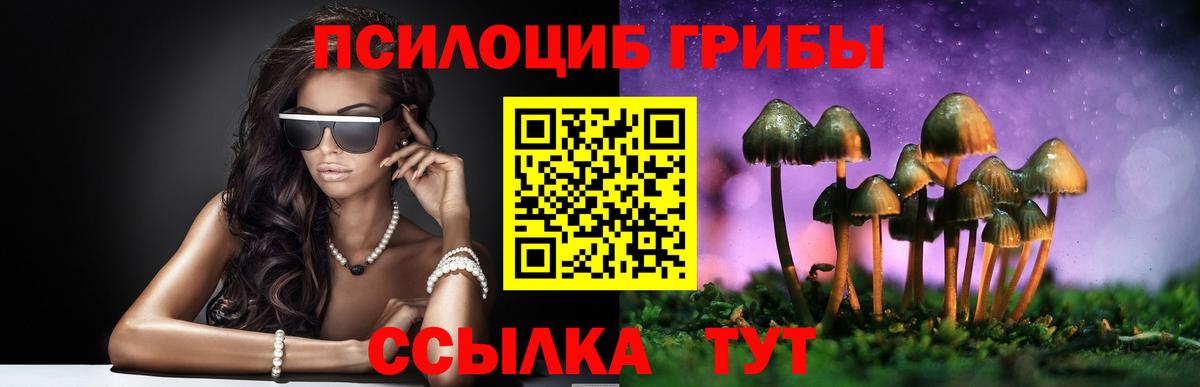 Галлюциногенные грибы Cubensis  Вход с VPN  Псилоцибиновые грибы Psilocybine cubensis  Усть-Джегута 